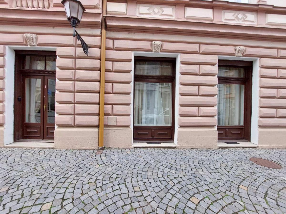 Exkluzivni Apartman V Prizemi V Hradci Kralove Градец-Кралове Экстерьер фото